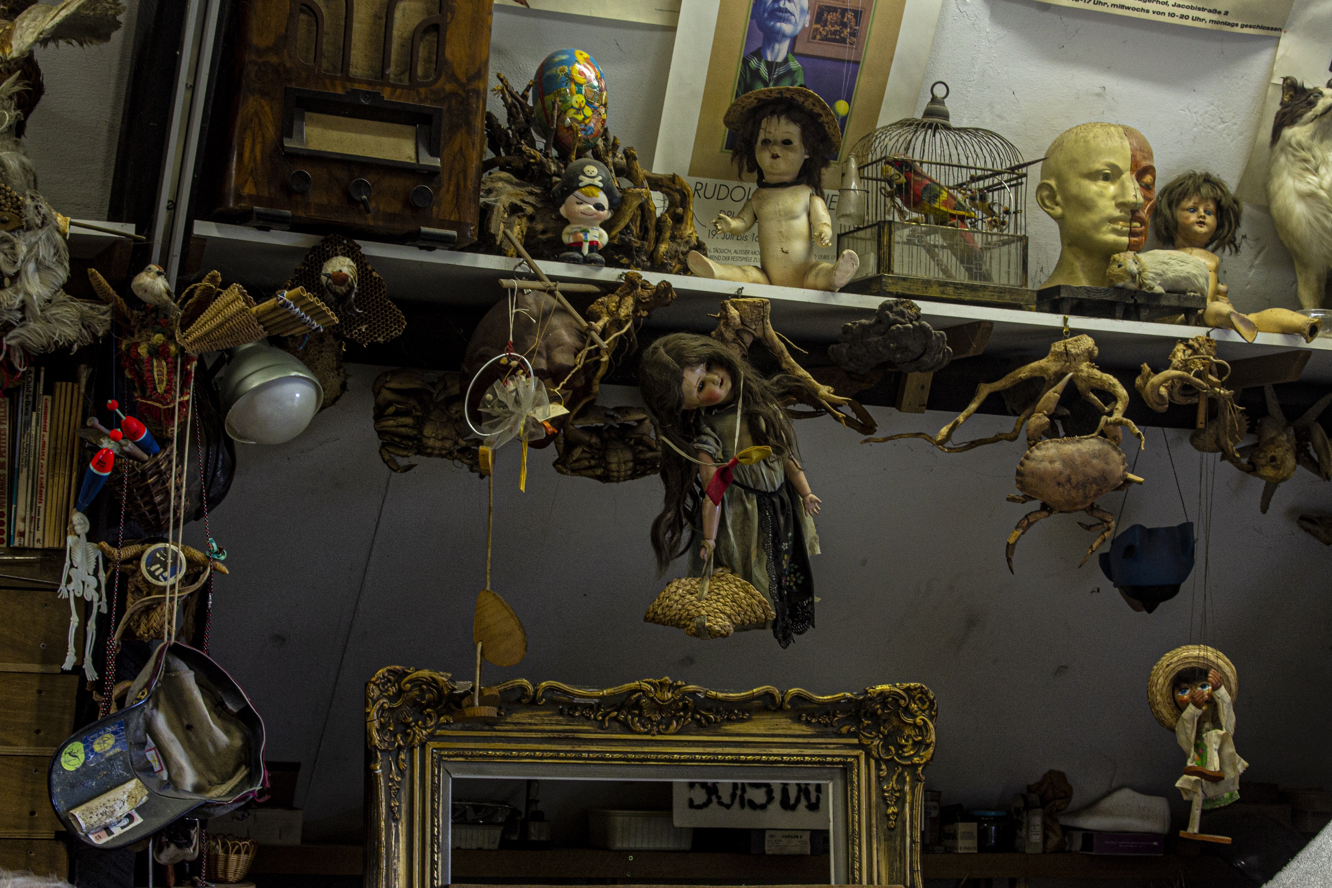 L'atelier de Daniel Pelletti a des airs de cabinet de curiosités