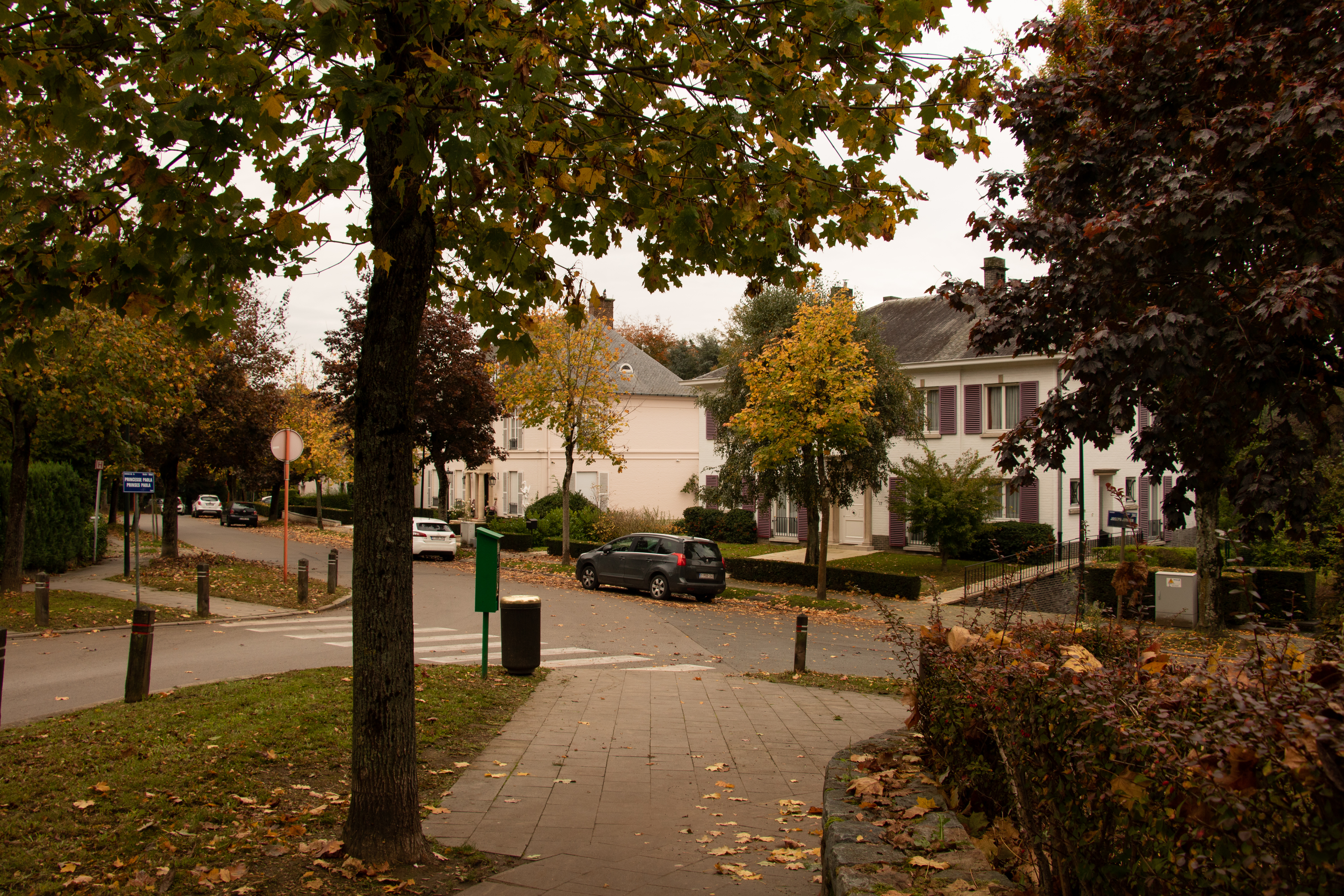Quartier triche