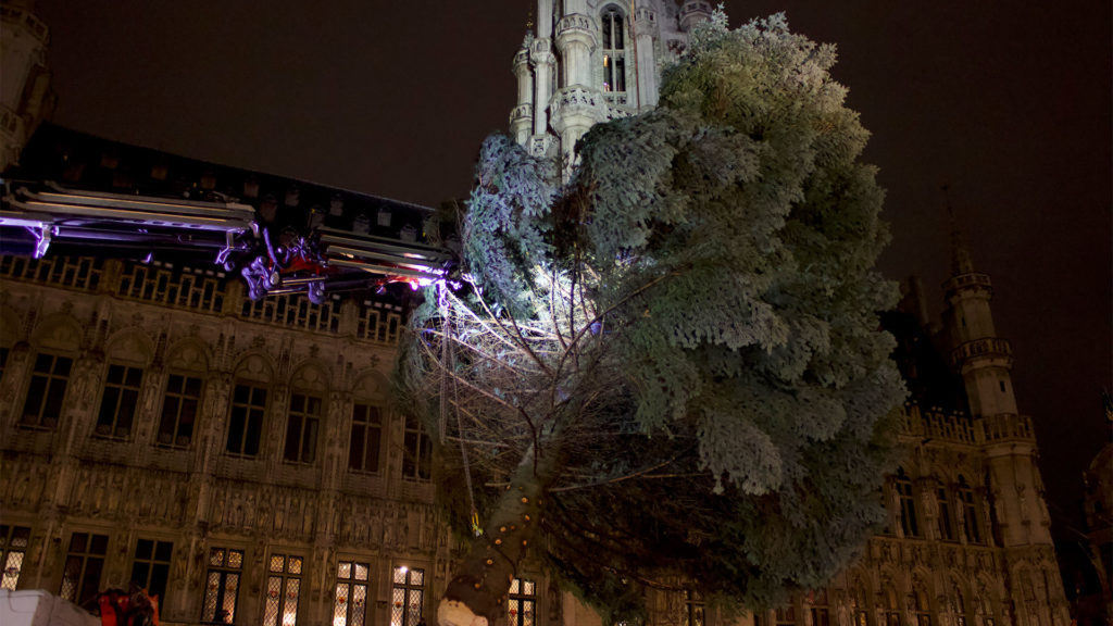 Le sapin est soulevé avant d'être placé dans son socle, il est dans les air